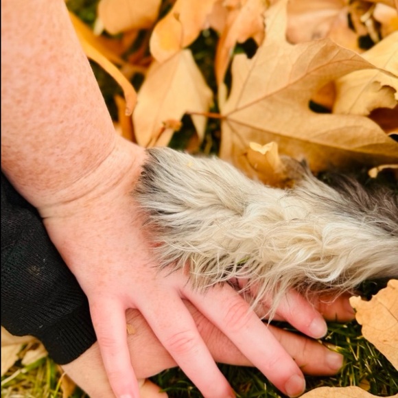 Meet your Posher, Kyla - Picture 7 of 15